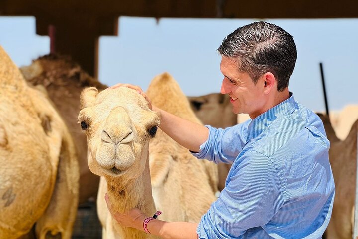 8 Hours Al Ain City Tour without lunch  - Photo 1 of 9